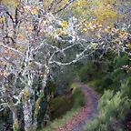 DSCN0672