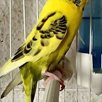 FB_IMG_1542388575063