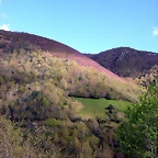 DSCN9054