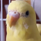20170604_150127