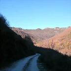 DSCN6887
