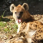 Zoo de Barcelona 25-12-11 254
