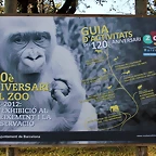 Zoo de Barcelona 25-12-11 001