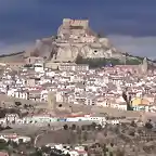 Morella