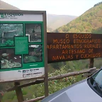 DSCN6831