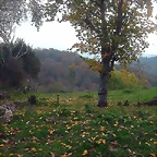 DSCN4582