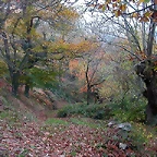 DSCN4588