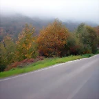 DSCN4602