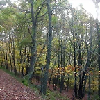 DSCN4592