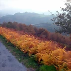 DSCN4596