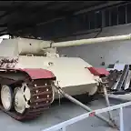 panther1