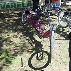 SDC13506