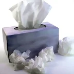 Kleenex