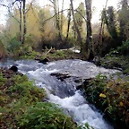 DSCN0527