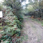 DSCN8485
