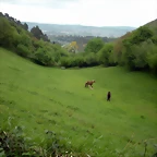 DSCN4546