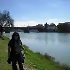 Puente de Triana de fondo