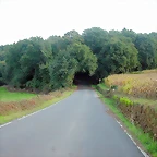 DSCN5329