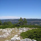P1010115