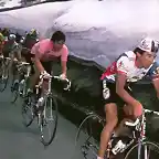 Giro-Moser-Lejarreta