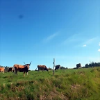 DSCN4671