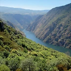 35-IMG_7310