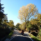 DSCN0964