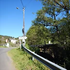 DSCN8954