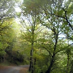 DSCN9464