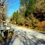 DSCN3994