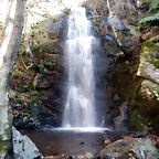 DSCN1459