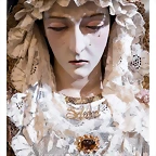 besamanos soledad san jer?nimo granada inmaculada 2019 antonio orantes 9