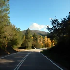 DSCN1590