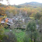 DSCN6165