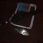 090720111065