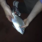 100720111070
