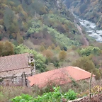 82-IMG_3964