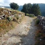 DSCN4402
