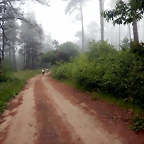 DSCN5381