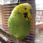 Pablo 16_1