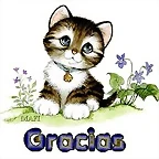 GRACIAS-GATITO