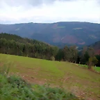 DSCN6251