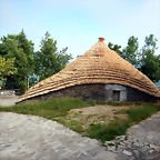 DSCN4769