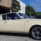 Barracuda Ibiza