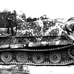 sturmtiger2