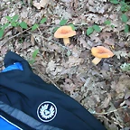 DSCN2460