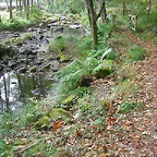 DSCN7471