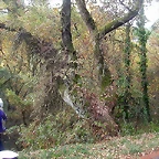DSCN7469