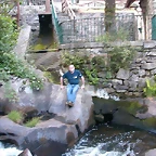 DSCN2502