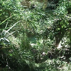 PICT0132